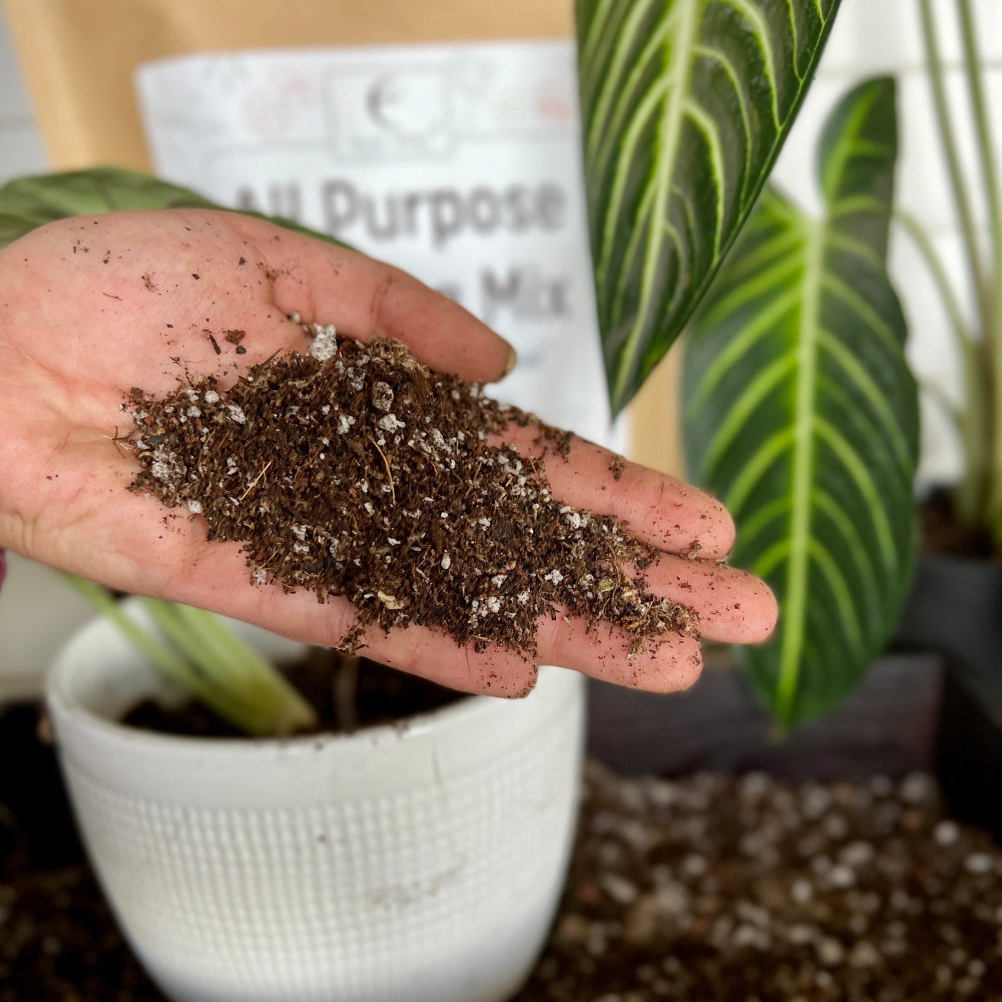 All-Purpose Soil Mix