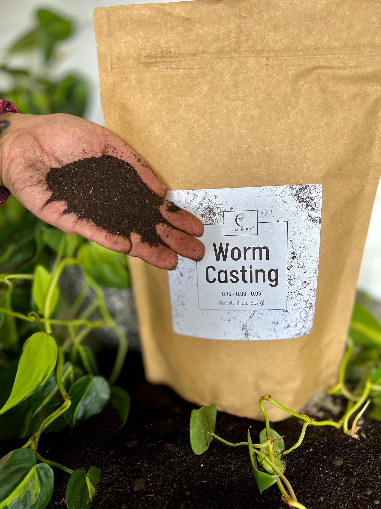 Worm Castings